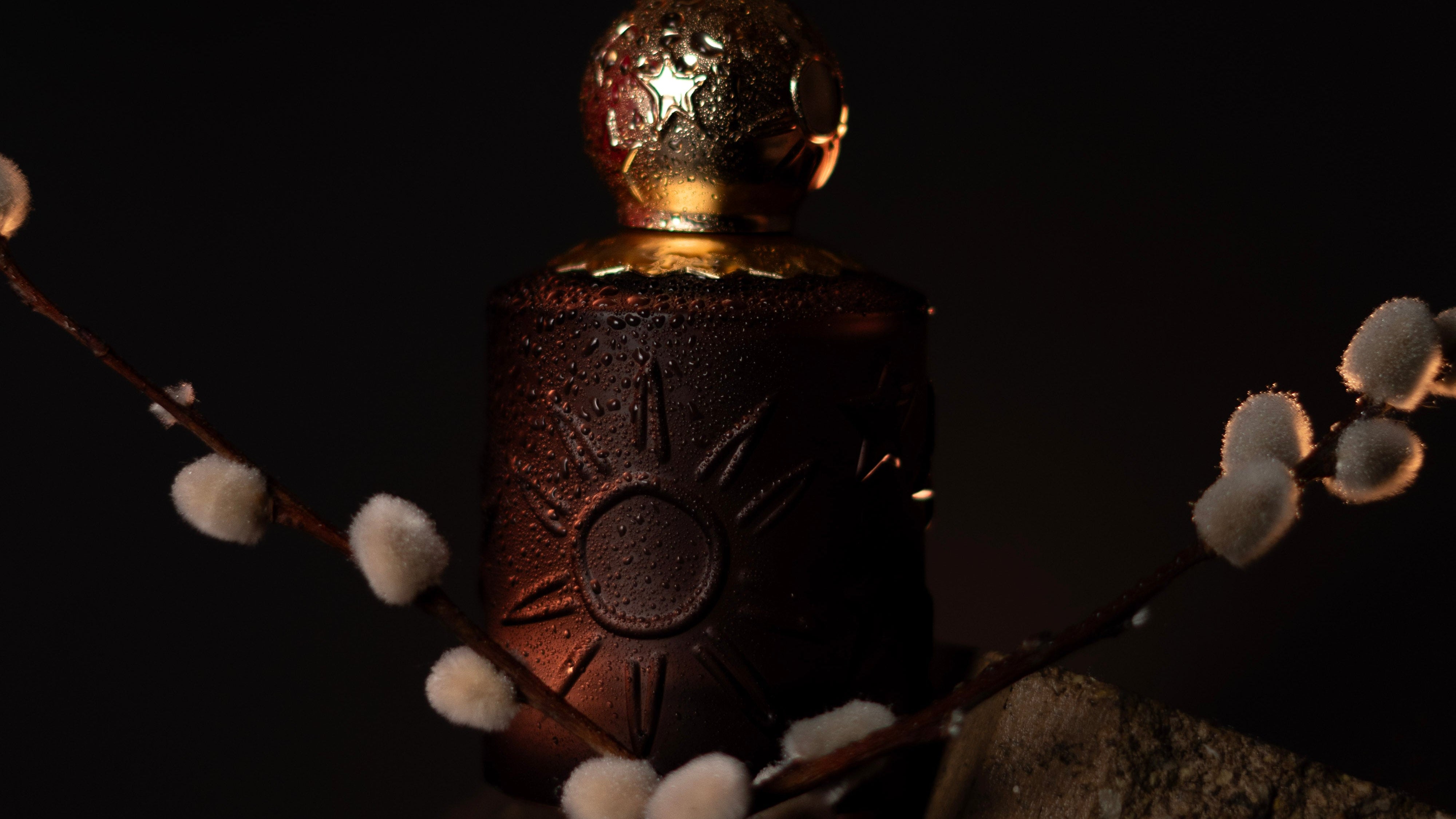 Sun Moon Stars Pour Homme Black EDP 3.4 Fl. Oz.